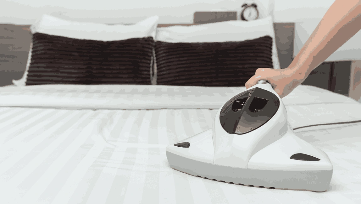 Professional Mattress Cleaning Sebastopol